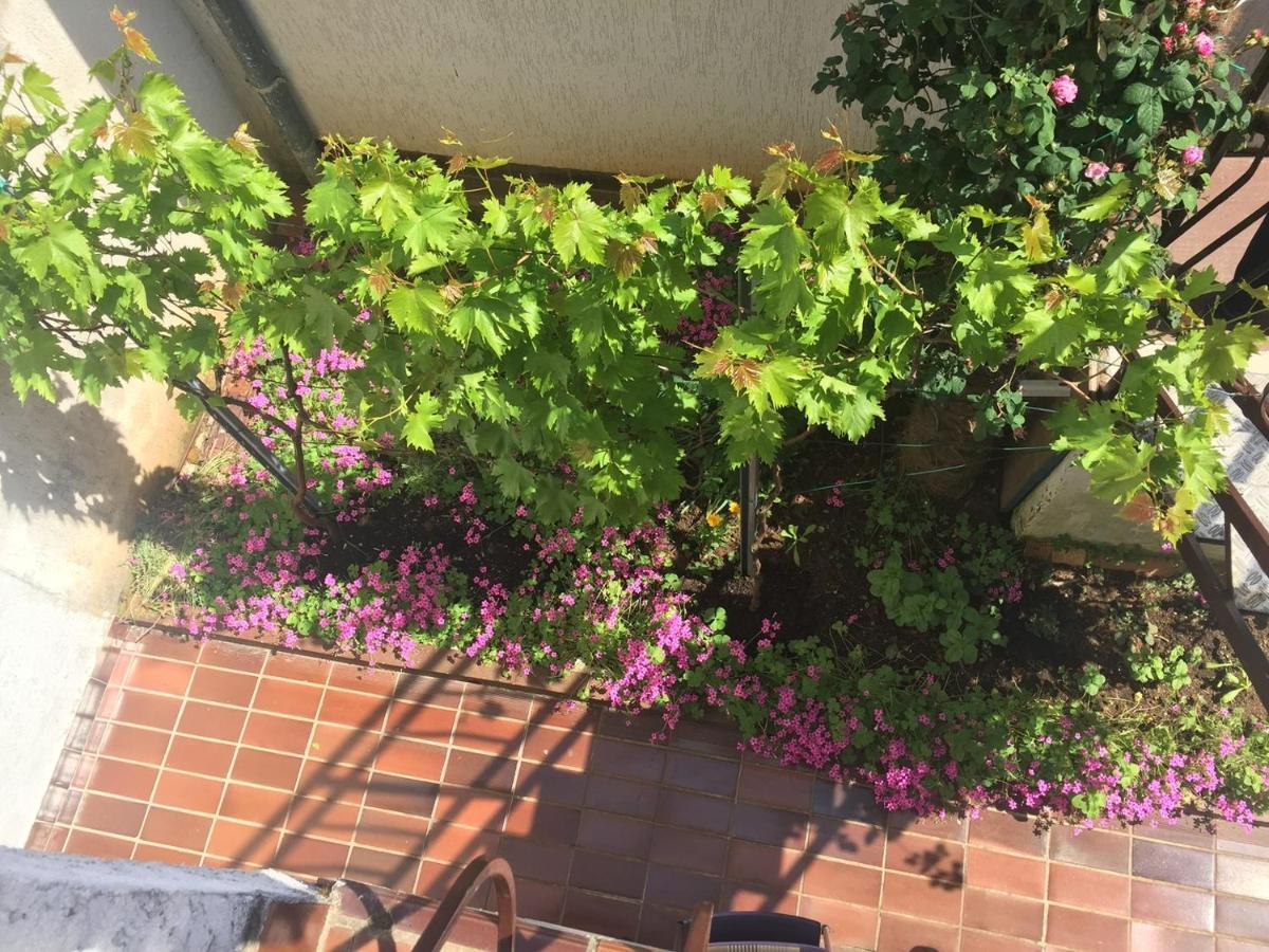 Apartments Porec Beach Area Simo Εξωτερικό φωτογραφία